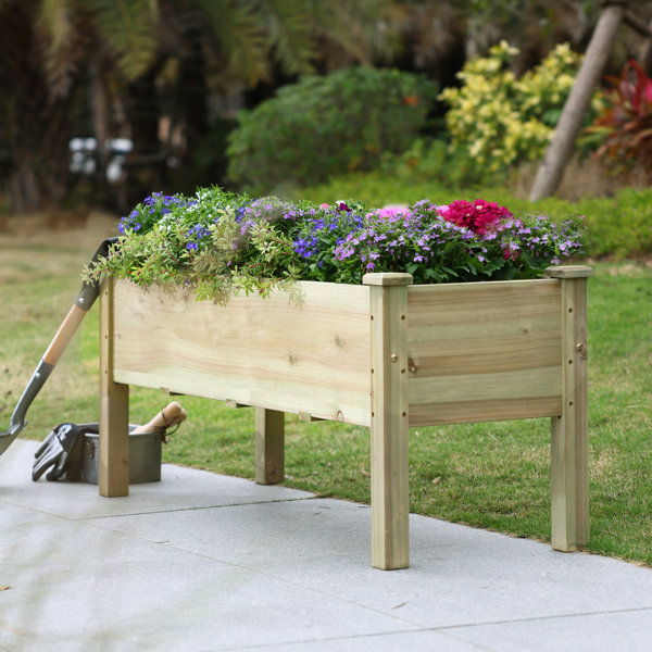 Beachcrest Home Buckhead Wood Outdoor Elevated Planter Wayfair Canada